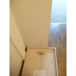 パレス泉のサムネイル