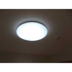 アンプルールフェール　ｍｉｌｌｅＯのサムネイル