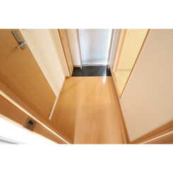 アンプルールフェール　ｍｉｌｌｅＯのサムネイル