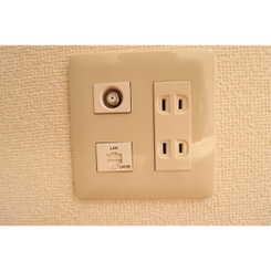 アンプルールフェール　ｍｉｌｌｅＯのサムネイル