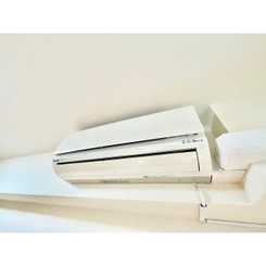 アンプルールフェール　六反のサムネイル