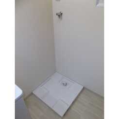 アムール準のサムネイル