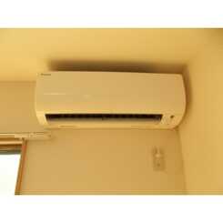 アムール準のサムネイル