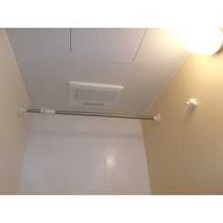 アムール準のサムネイル