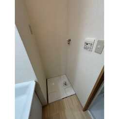 アンプルールフェール樹のサムネイル