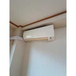 アンプルールフェール樹のサムネイル