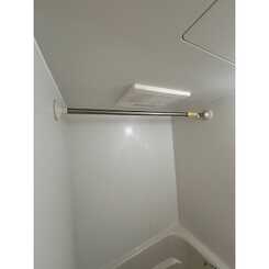 アンプルールフェール樹のサムネイル