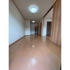 アンプルールフェール樹のサムネイル