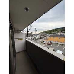 アンプルールフェール樹のサムネイル