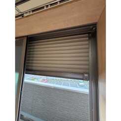 アンプルールフェール樹のサムネイル