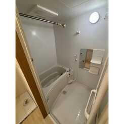 アンプルールフェール樹のサムネイル