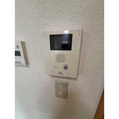 アンプルールフェール樹のサムネイル