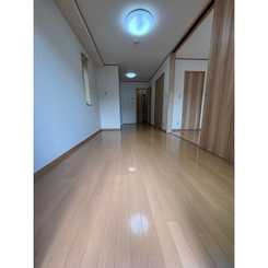 アンプルールフェール樹のサムネイル