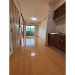 アンプルールフェール樹のサムネイル