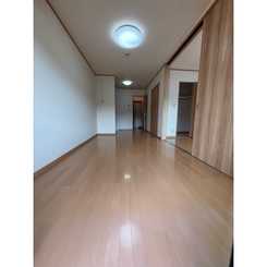 アンプルールフェール樹のサムネイル