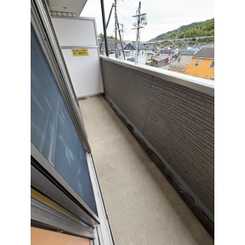 アンプルールフェール樹のサムネイル