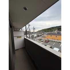 アンプルールフェール樹のサムネイル