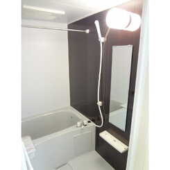 アムール Miwaのサムネイル