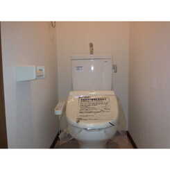 アムール クローバーのサムネイル