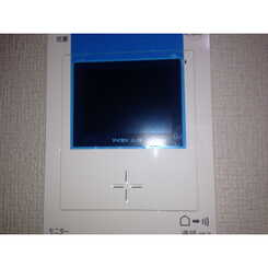 アムール クローバーのサムネイル