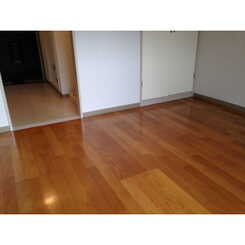 TSハイムのサムネイル