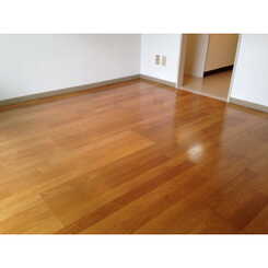 TSハイムのサムネイル