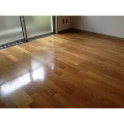 TSハイムのサムネイル