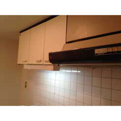 TSハイムのサムネイル