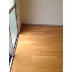 TSハイムのサムネイル