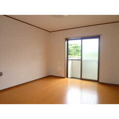 Ｒｉｖｅｒ　ｗｏｏｄ　Ｈｉｓａのサムネイル