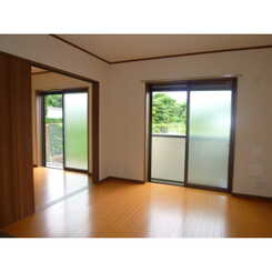 Ｒｉｖｅｒ　ｗｏｏｄ　Ｈｉｓａのサムネイル