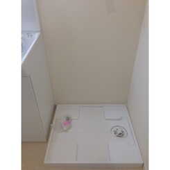 アムール3292のサムネイル