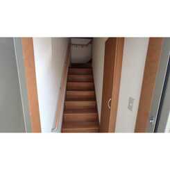 アムールスピカのサムネイル