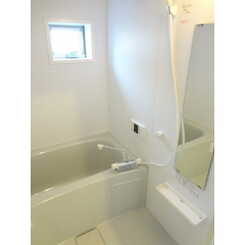 アムール いちょうのサムネイル