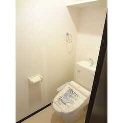 アムール いちょうのサムネイル