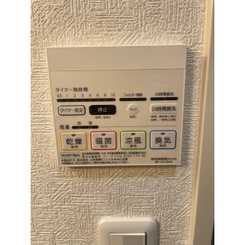 アムール いちょうのサムネイル