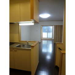 アムール いちょうのサムネイル