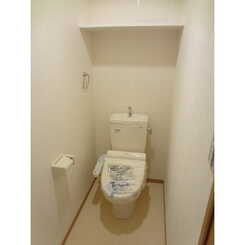 アムール いちょうのサムネイル