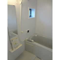 アムール いちょうのサムネイル