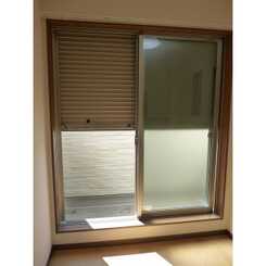 アムール Yutakaのサムネイル