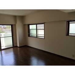 プラトゥモリのサムネイル