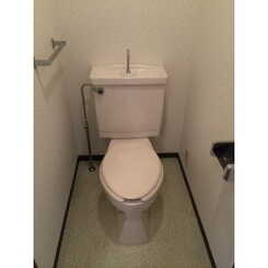 プラトゥモリのサムネイル