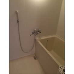 プラトゥモリのサムネイル