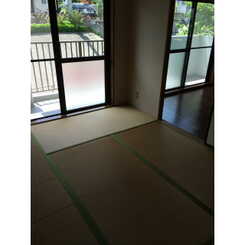 プラトゥモリのサムネイル