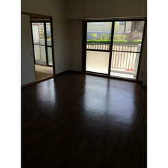 プラトゥモリのサムネイル