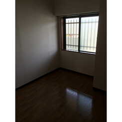 プラトゥモリのサムネイル