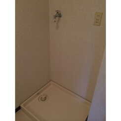 プラトゥモリのサムネイル