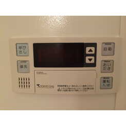 プラトゥモリのサムネイル