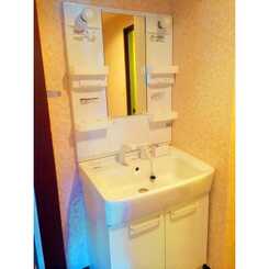 プラトゥモリのサムネイル