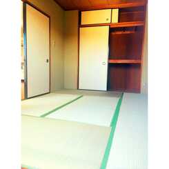 プラトゥモリのサムネイル